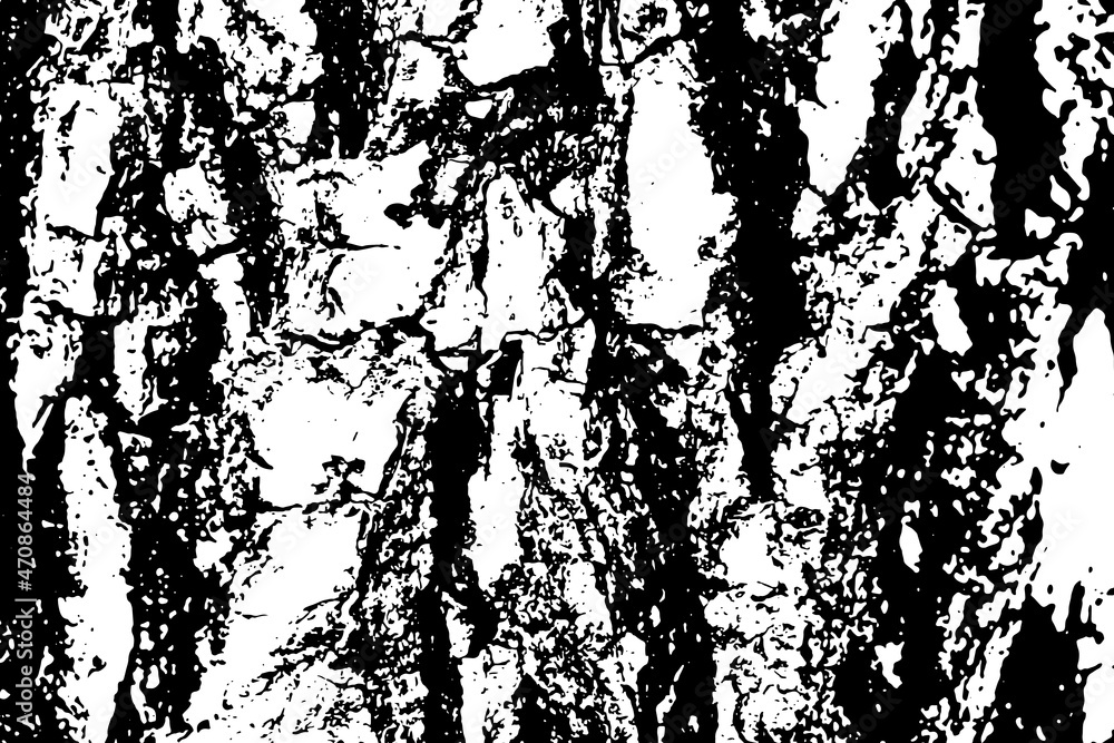 Old tree trunk vector texture close-up, black and white textured effect background