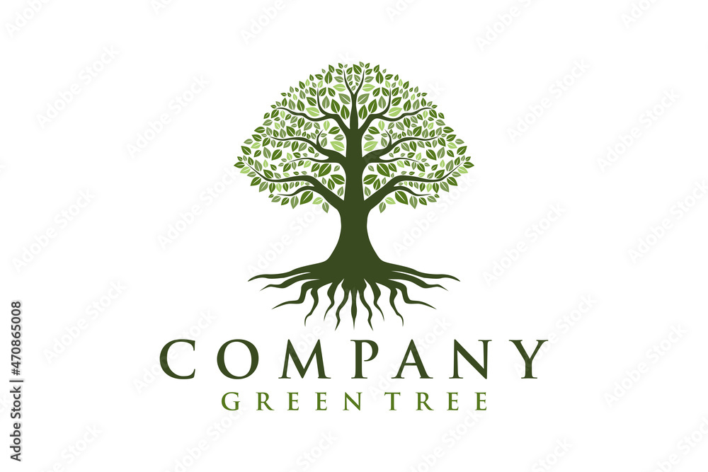 Tree of Life, oak banyan leaf and root seal emblem stamp logo design inspiration