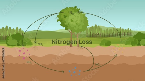 Nitrogen Loss Nature Scene Vector