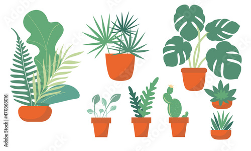 A set of potted houseplants. Simplified flat style isolated on white background