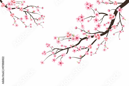 Print op canvas Cherry blossom branch with sakura flower
