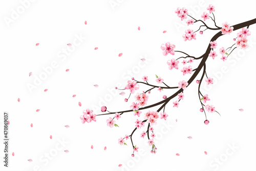 Fotografie, Tablou Cherry blossom flower blooming vector
