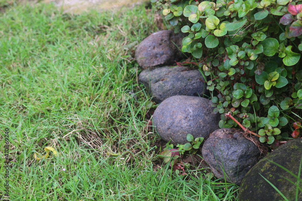 river stone that is used as a plant barrier decoration with grass so that it looks more beautiful river stone that is used as a plant barrier decoration with grass so that it looks more beautiful