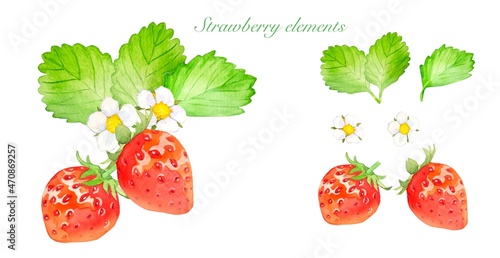 鮮やかなイチゴの水彩イラストセット photo