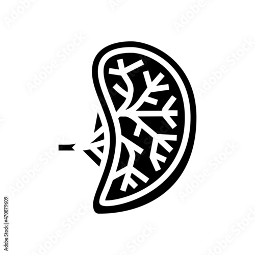 spleen human organ glyph icon vector. spleen human organ sign. isolated contour symbol black illustration