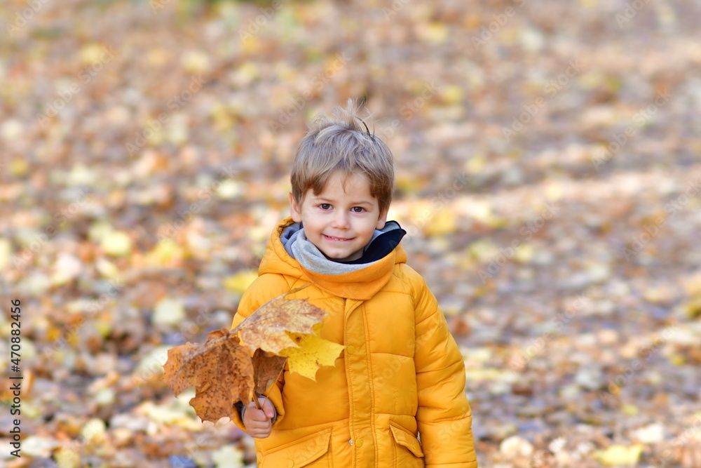 CHłopiec na jesiennym spacerze - obrazy, fototapety, plakaty 