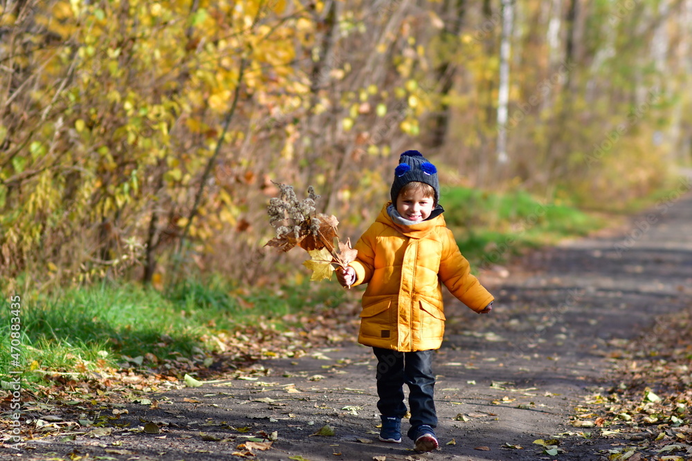 CHłopiec na jesiennym spacerze - obrazy, fototapety, plakaty 