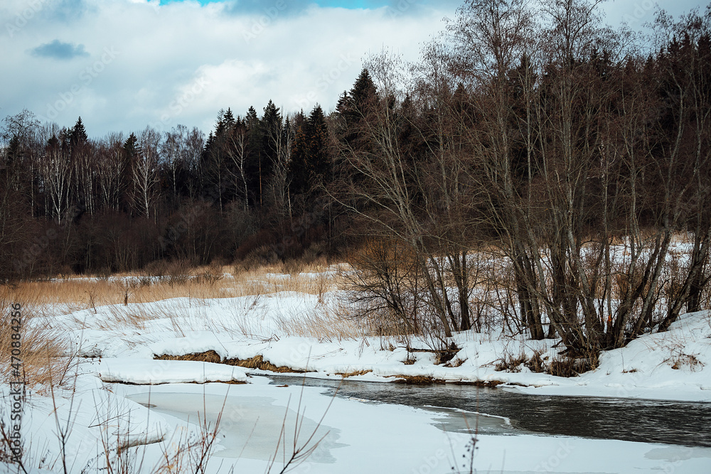 landscape of a winter stream with overgrown banks under snow. pure icy spring water. nature without people landscape of a winter stream with overgrown banks under snow. pure icy spring water. nature without people