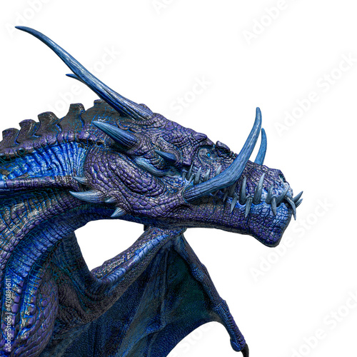 magic dragon id portrait side view