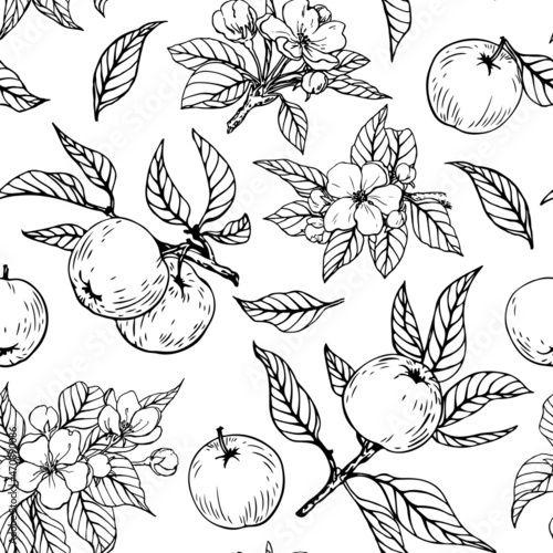 Black and white seamless pattern, branches with fruits and blossoming branches of the apple tree. Hand drawn linear vector illustration. Background for packaging, textile, wallpaper, fabric design.
