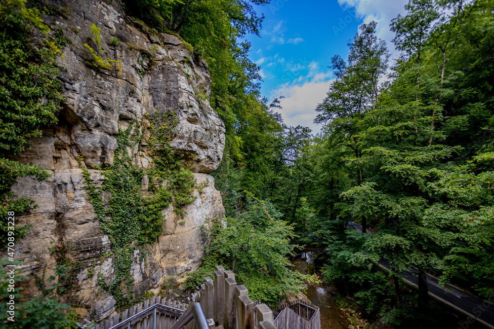 Fototapeta premium Sandstone rock formation, wild vegetation, trees with green foliage, wooden ladder, Black Ernz river and a country road seen from a higher perspective, summer day on Mullerthal Trail, Luxembourg