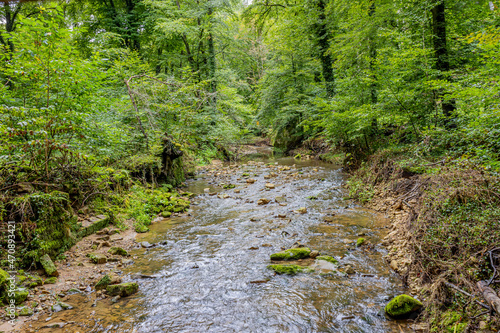 Black Ernz river with crystal clear water flowing over the stones  surrounded by trees and wild vegetation  fading into the background  Mullerthal Trail  Luxembourg