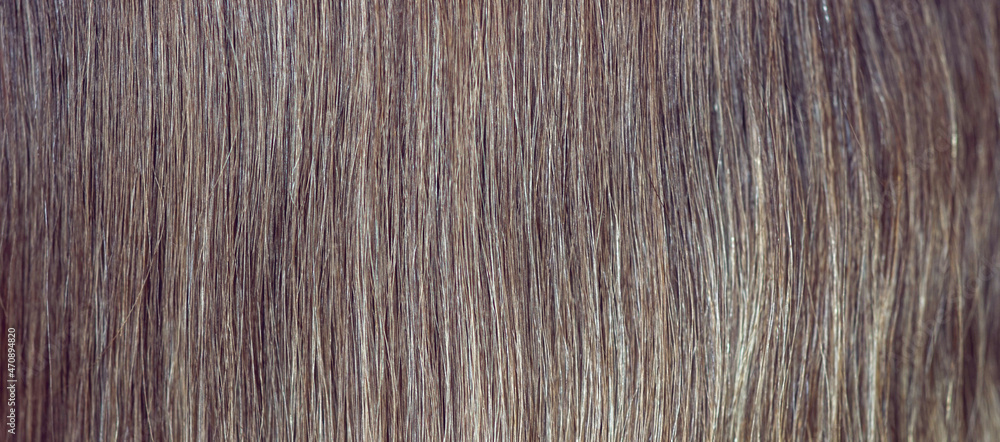 Dark blonde hair close up for background Dark blonde hair close up for background