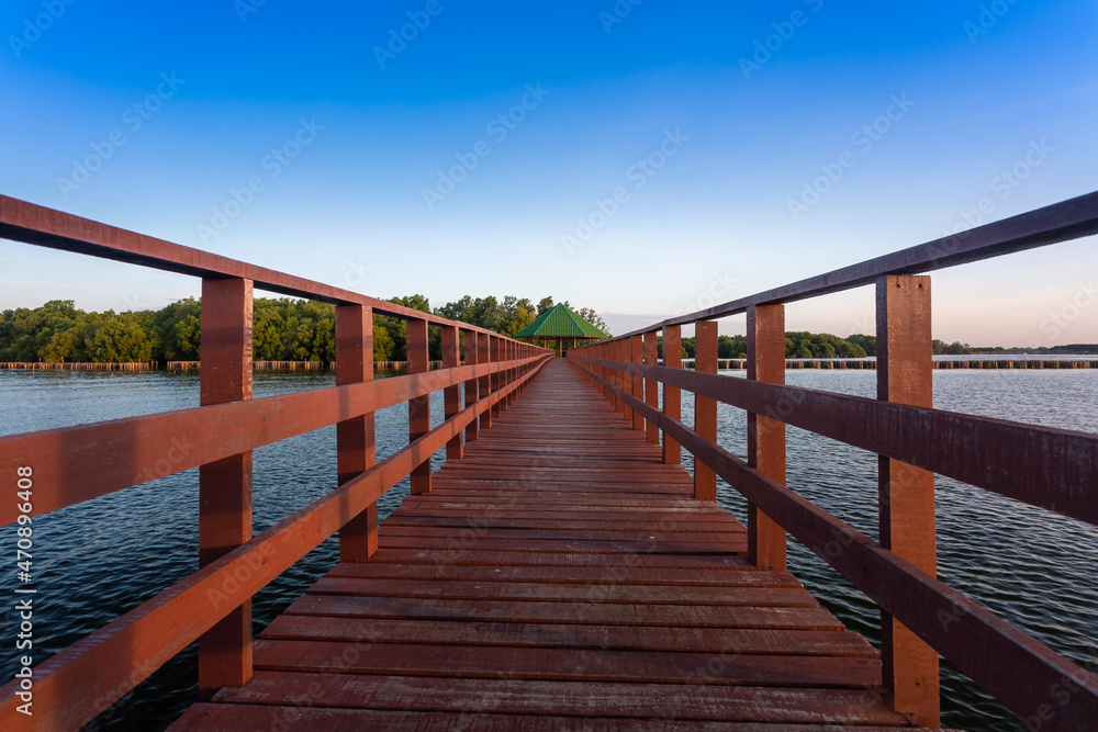 The forest mangrove with wooden walkway bridge,Red bridge and bamboo line