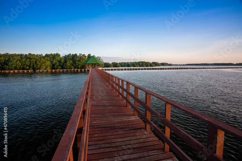 The forest mangrove with wooden walkway bridge,Red bridge and bamboo line © banjongseal324