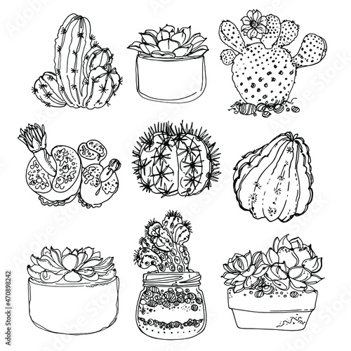 Cacti and succulents. Line sketch of flowers, home decor. Drawing vector black. Poster coloring