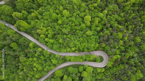 The Mendel Pass in summer. Pass road in summer and the forest super green photo