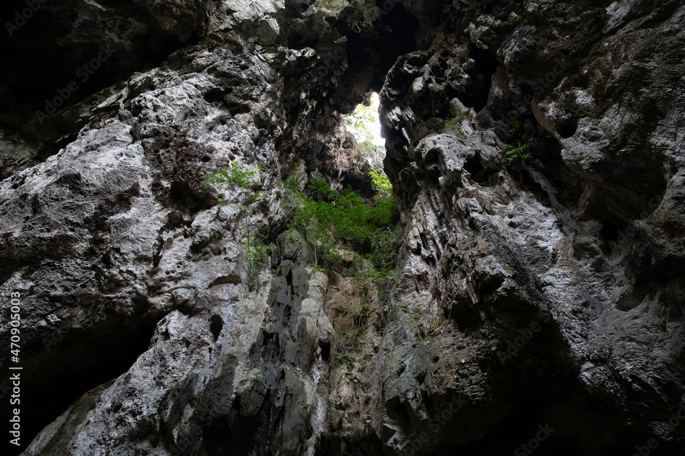 View from inside deer cave in gunung mulu national park View from inside deer cave in gunung mulu national park