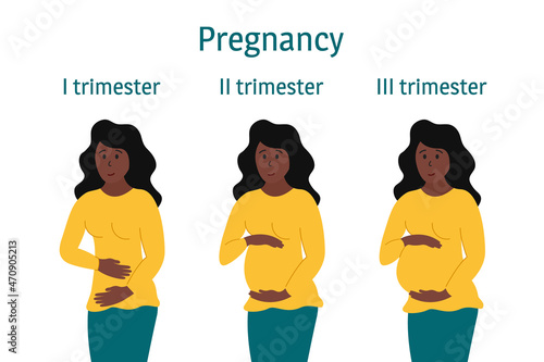 Pregnancy trimesters. Pregnant african american woman standing, smiling and touching belly in different stages. Body changes, belly grows. Vector infographics