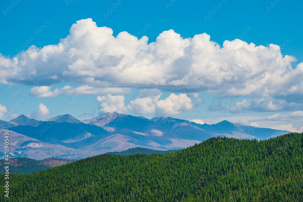 Bright natural background with green forest, blue sky and white clouds over the mountain slopes.