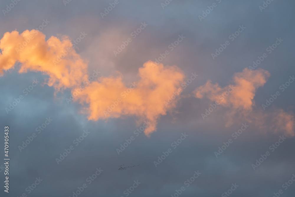 Pink smoke on the background of evening smoke. Abstract background with colored smoke.