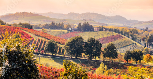 Obraz na płótnie Castelvetro countryside during autumn