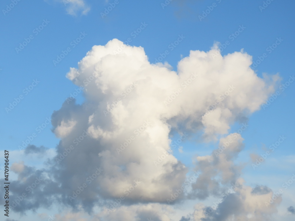 white clouds in the sky white clouds in the sky