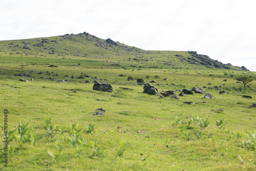 dartmoor dartmoor