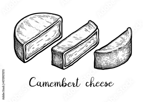 Camembert cheese ink sketch