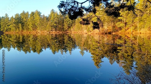 A photo of a lake in a forest