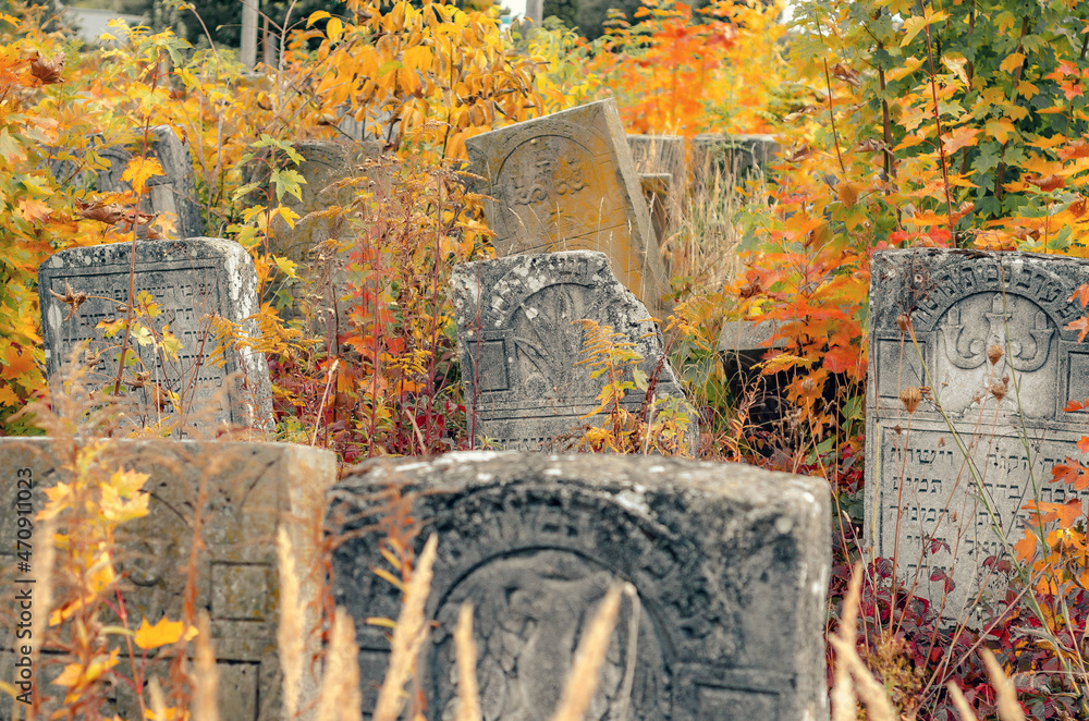 Old Jewish cemetery in autumn. Tombstones in dry grass. Ternopil. Ukraine