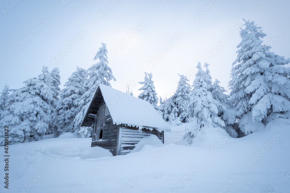 charming wooden hut in snowy fir forest during frozen winter