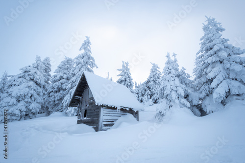charming wooden hut in snowy fir forest during frozen winter © lukaszimilena