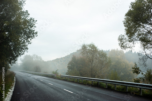 Forest in the foggy mountain