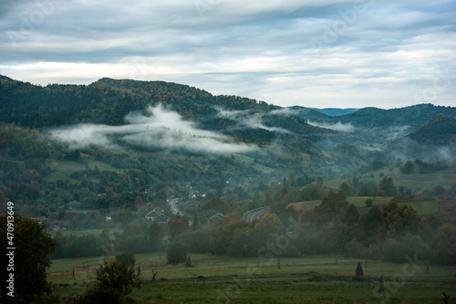 Forest in the foggy mountain