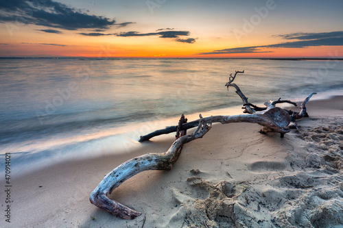 Fototapeta Naklejka Na Ścianę i Meble -  A beautiful sunset on the beach of the Sobieszewo Island at the Baltic Sea. Poland