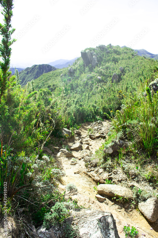 path in the mountains path in the mountains