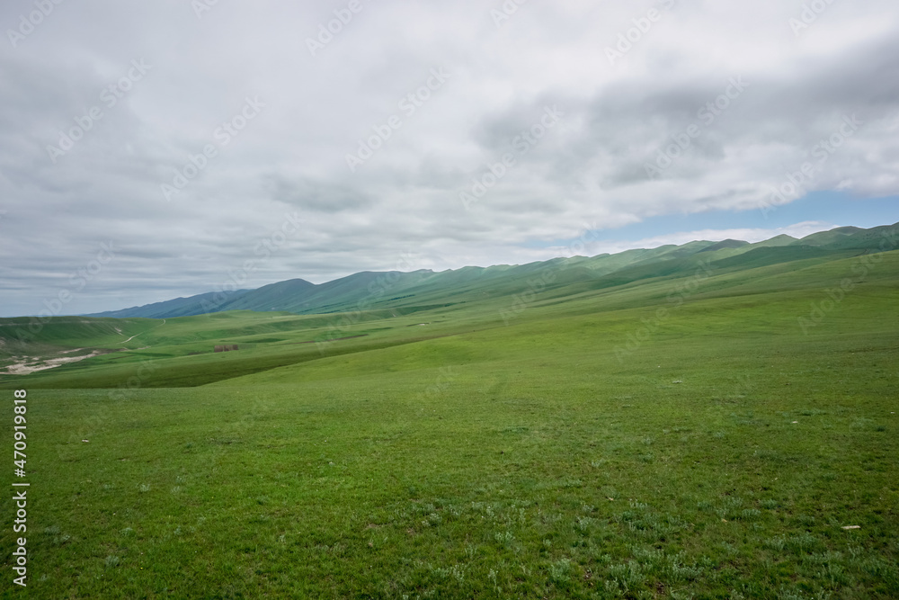 Fototapeta premium Green meadows in the mountains of Dagestan