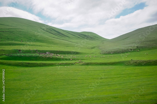 Green meadows in the mountains of Dagestan