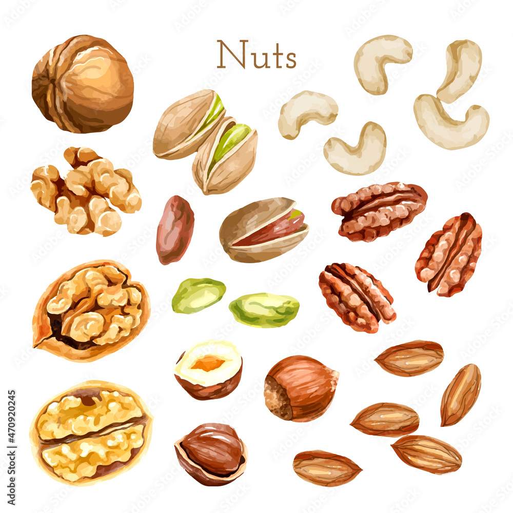 Watercolor nut collection. different types of nuts - obrazy, fototapety, plakaty 