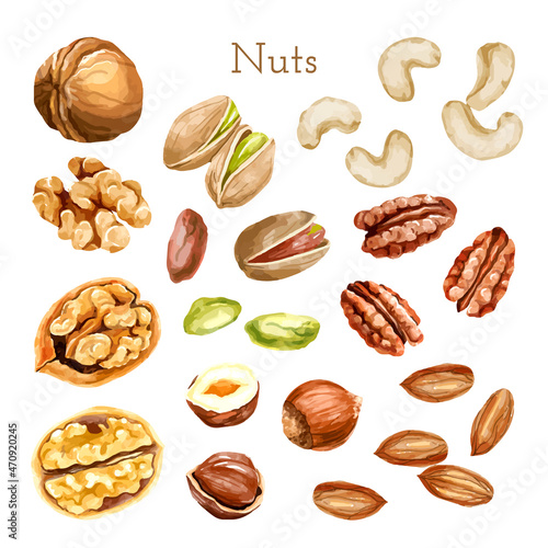 Watercolor nut collection. different types of nuts photo