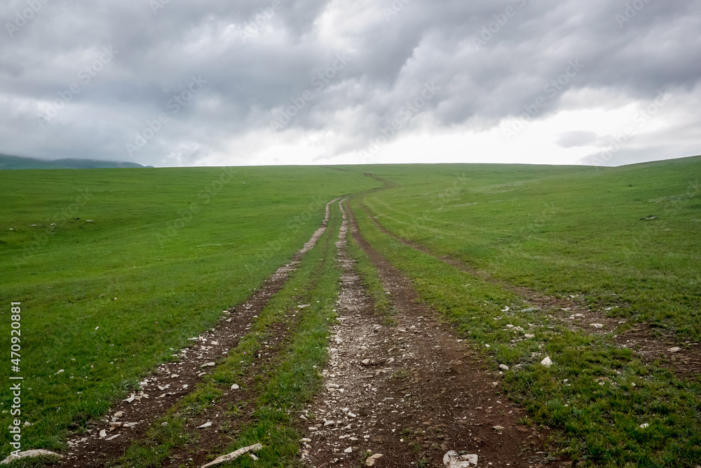 Dirt road in the middle of a green field