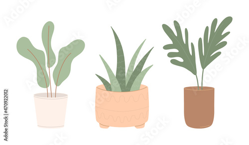 Set of modern potted plants for home and office interior decoration.Colored flat vector illustration isolated on white background.