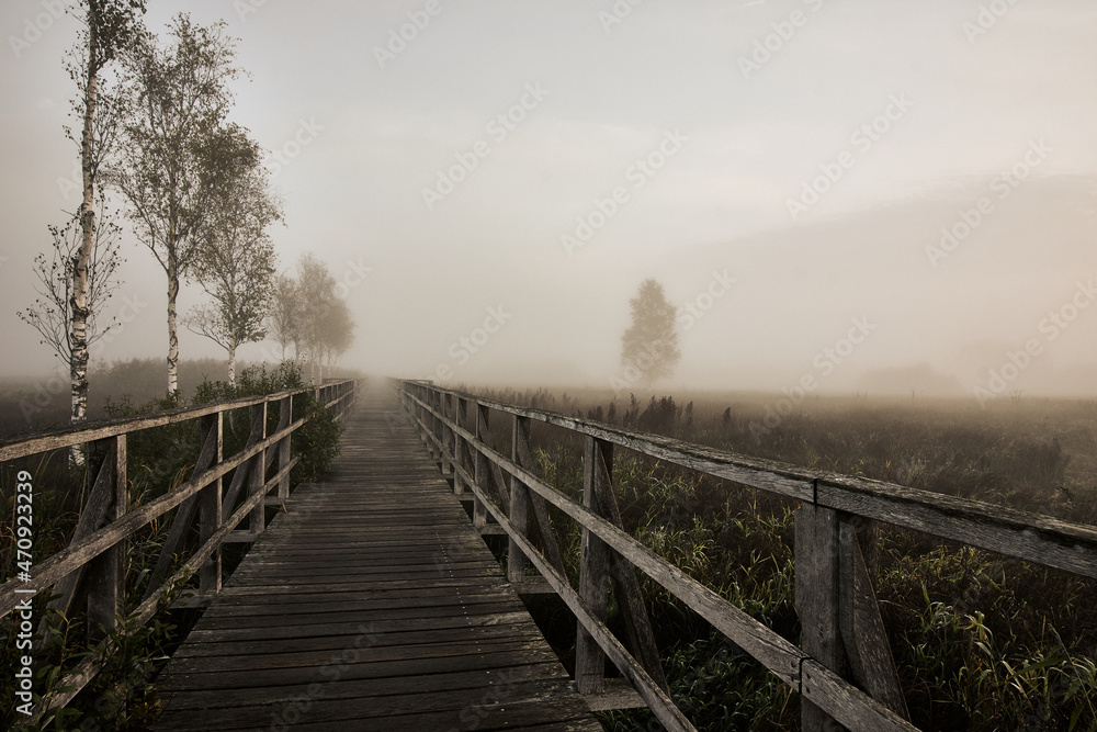 Federseesteg boardwalk leading through foggy marshland and reeds at sunrise in Bad Buchau, Germany.