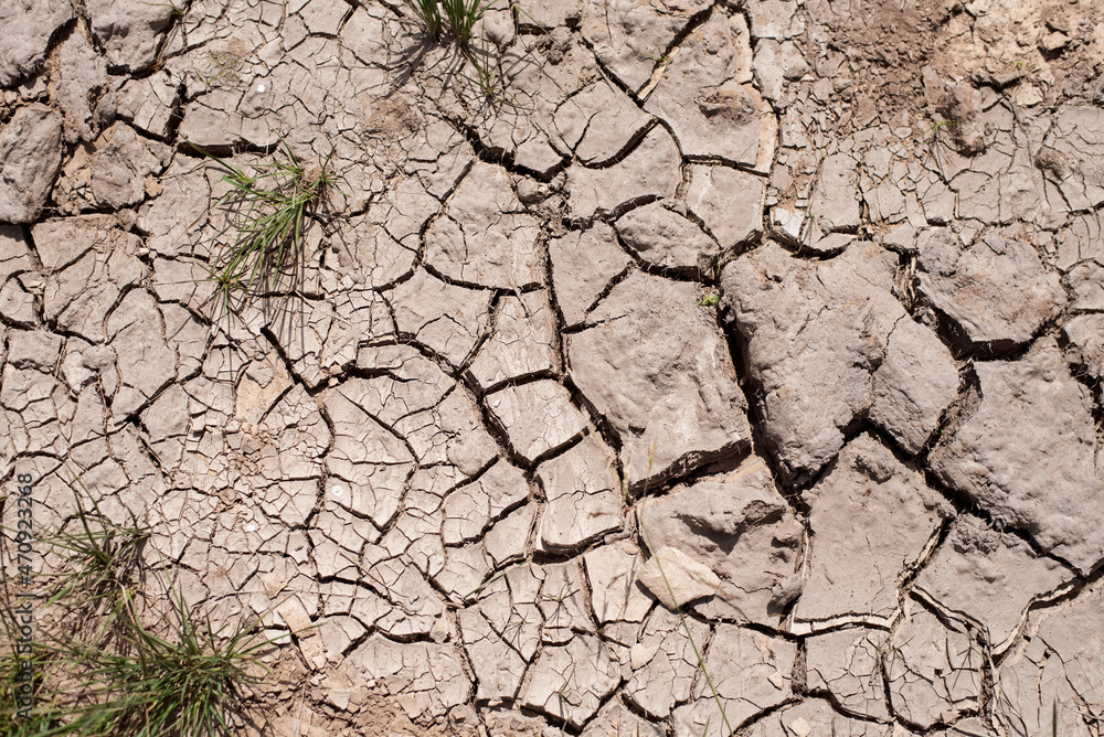 Dry cracked soil without grass, soil and grass dried up because there was no rain for a long time, selective focus. The concept of ecological crisis Dry cracked soil without grass, soil and grass dried up because there was no rain for a long time, selective focus. The concept of ecological crisis