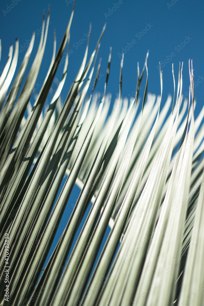 Obraz premium blue sky background