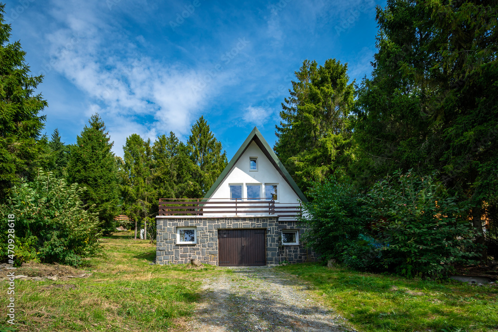 Fototapeta premium village house in nature in solitude