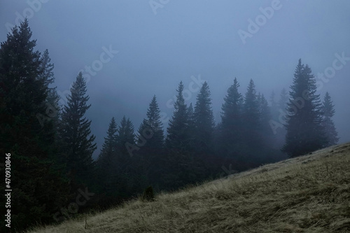 Late autumn forest landscape in National Park Retezat, Romania, Europe 