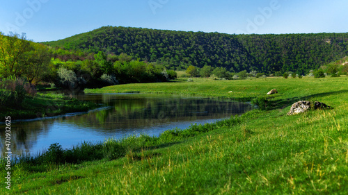 Image of a beautiful river and the flowers field on a sunny summer day. Horizontal view.