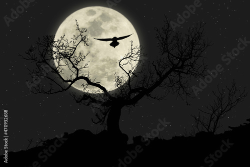 Night flying owl with moon in background